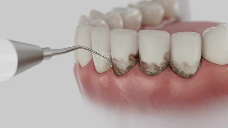 Reliable Dental contractor in Pine Manor, FL by Dentist Open Now